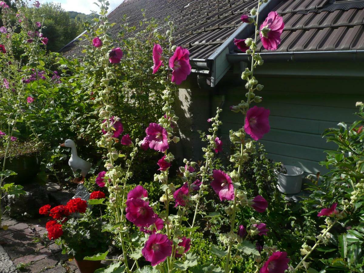 Bed and Breakfast Roulotte la Dominique à Romery  Extérieur photo