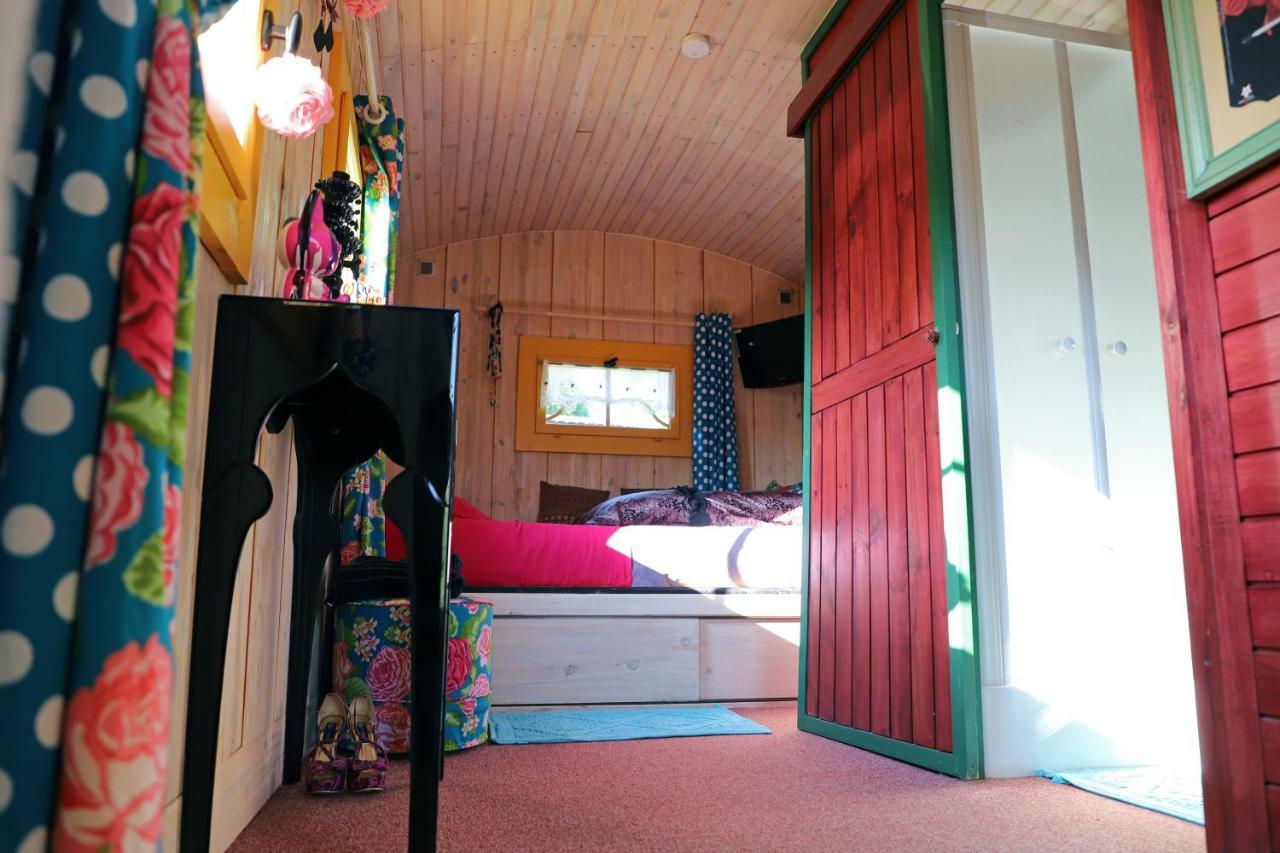 Bed and Breakfast Roulotte la Dominique à Romery  Extérieur photo